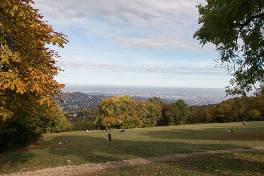 3Hour Outdoor Budapest Normafa Hike&History With a Historian - Getting Out of Budapest Center to Normafa Fast