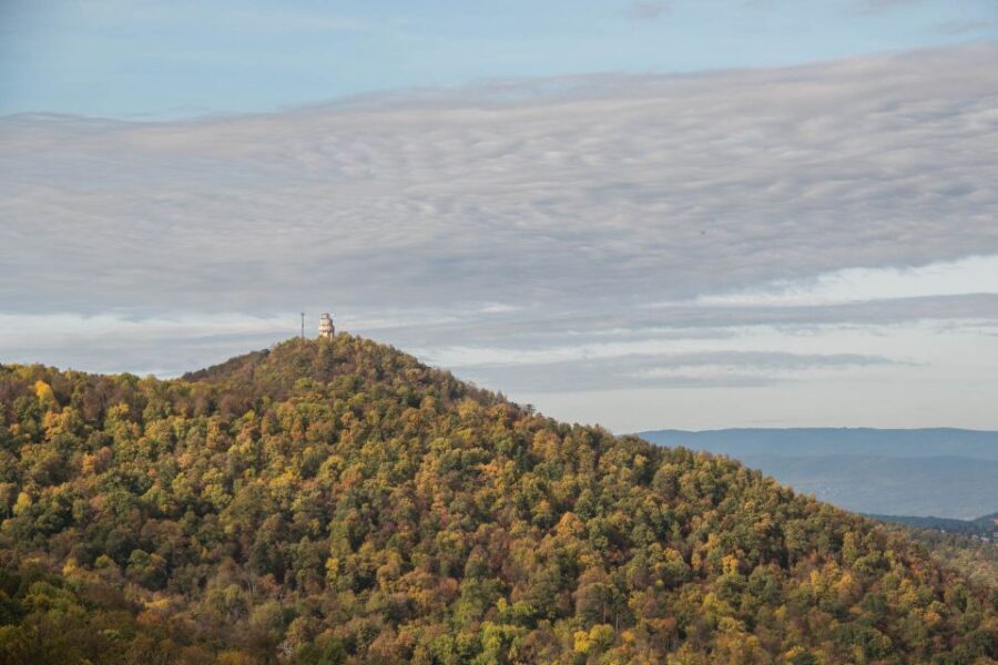 3Hour Outdoor Budapest Normafa Hike&History With a Historian - Elizabeth Lookout: The Best View Stop and Why the Building Matters