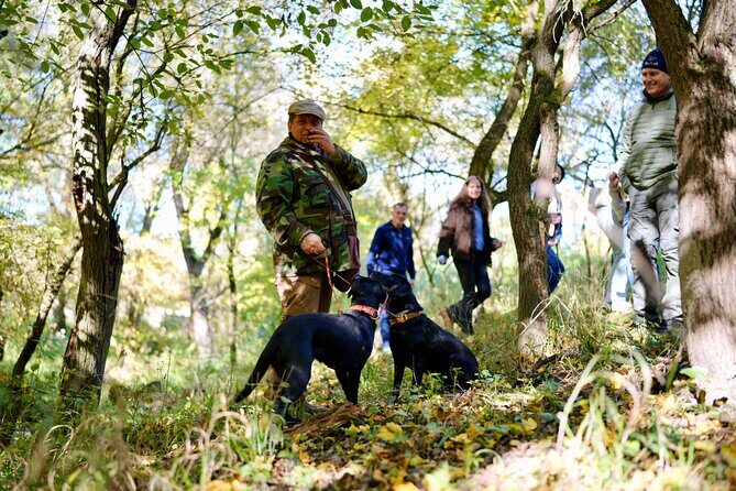 Black Truffle Hunt, Foie Gras & Wines with Budapest Pickup - Key Things That Make This Tour Worth Your Time