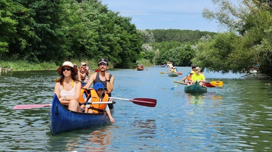 Budapest: Canoeing the Danube w or wo Sauna or Danube Beach - Private pickup and transportation: getting to the starting point without drama