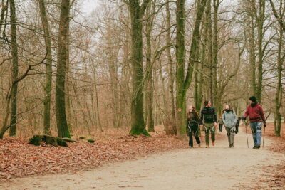 Budapest: Exoskeleton Robotics Powered Nature Hike - From Gepida Factory Store to the Buda Hills ride