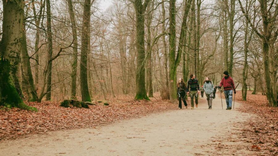 Budapest: Exoskeleton Robotics Powered Nature Hike - Should you book this exoskeleton hike?
