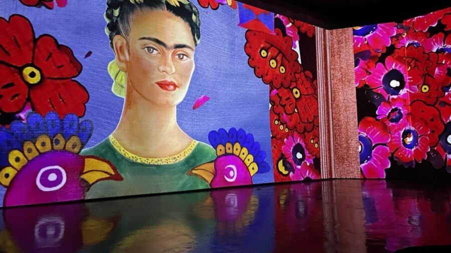 Budapest: Frida Kahlo Immersive Exhibition Ticket - Rare photos and diary excerpts: the emotional center