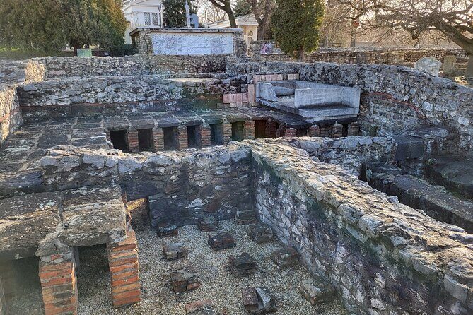 Budapest Hidden Gems - Roman Aquincum Private Tour - Stop 4: Aquincum Museum Exhibits and Archaeological Park Ruins (About 1.5 Hours)