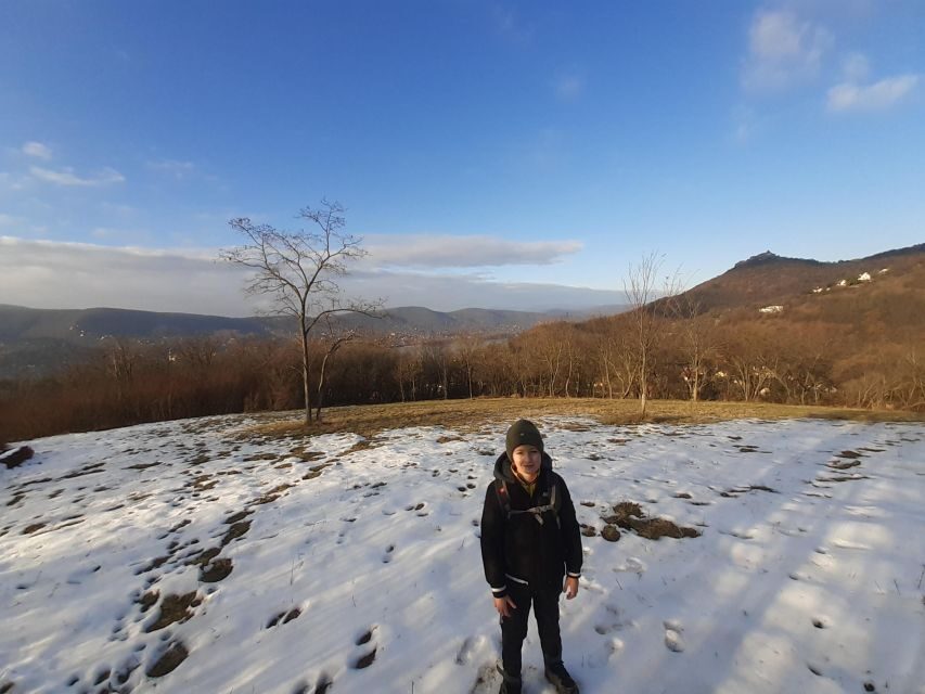 Budapest Hike to Visegrád Castle w or wo Sauna/Danube beach - Who This Tour Fits Best (and Who Should Skip It)