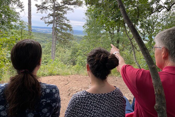 Budapest Hike - The walk through the Buda mountains: guide talk plus real calm