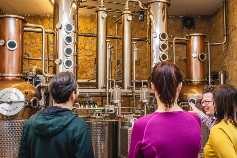 Budapest: Hungarian Whisky, Gin, and Pálinka Tasting - The Pálinka Part: Where the Culture Lesson Clicks