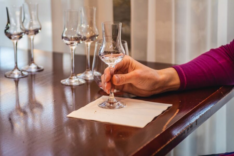 Budapest: Hungarian Whisky, Gin, and Pálinka Tasting - Price and Value: Is $245 Worth It?