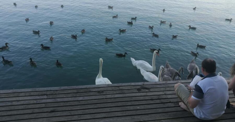 Budapest: Lake Balaton & Herend Porcelain Private Day Tour - Key highlights at a glance