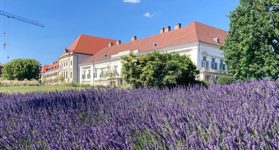 Budapest: private sightseeing tour by public transportation - Key moments you’ll remember