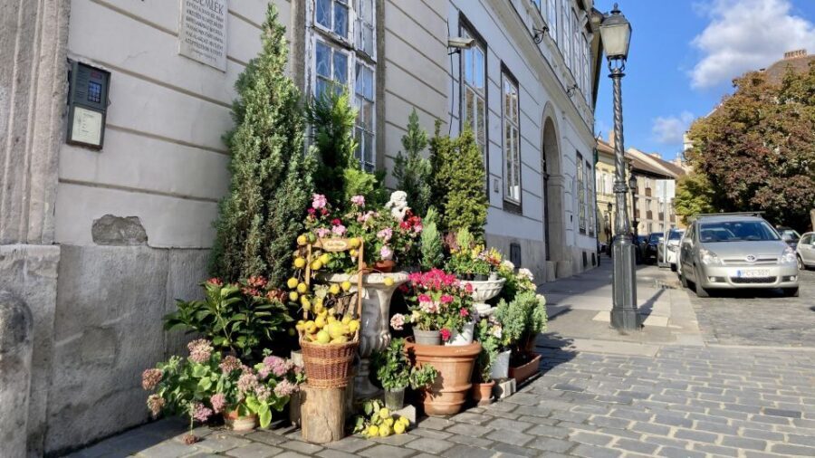Budapest: private sightseeing tour by public transportation - Why using public transport for highlights makes Budapest easier