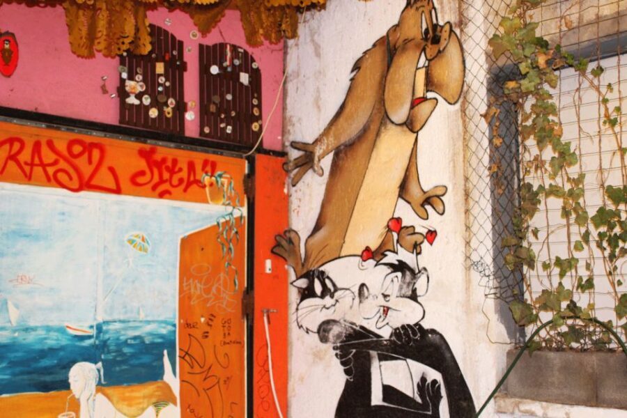 Budapest: Ruin Bar Tour - Key Highlights You’ll Care About