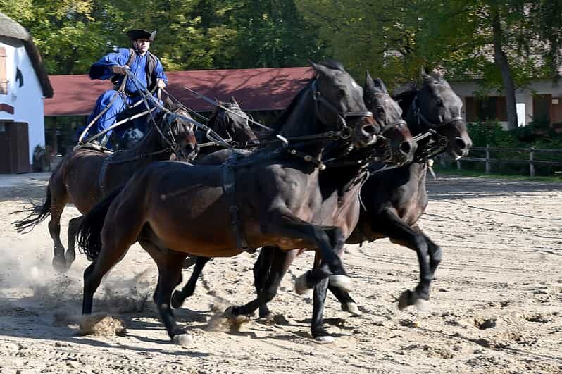 Countryside ranch, horse show & lunch - Key highlights at a glance