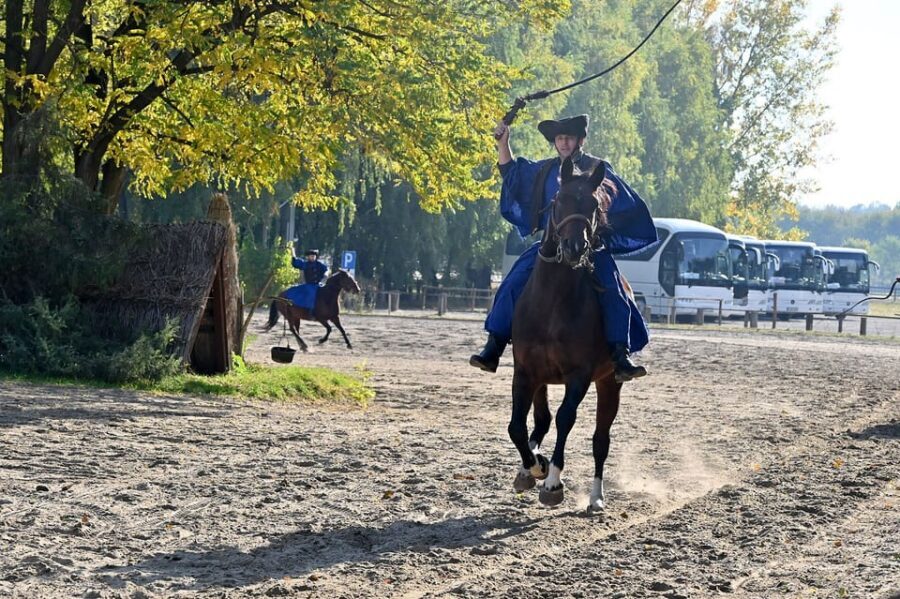 Countryside ranch, horse show & lunch - Timing, group size, and what the day feels like