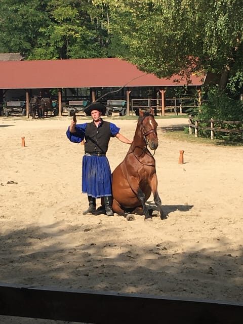 Countryside ranch, horse show & lunch - Who this tour fits best (and who may want to skip)