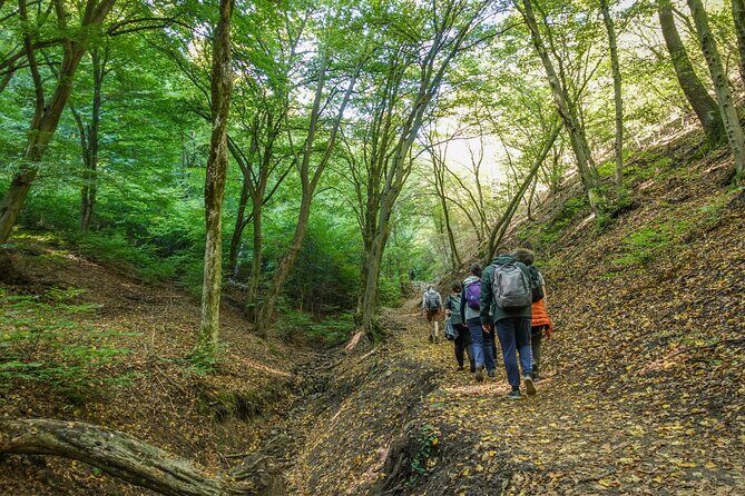 Danube Bend Hiking and Kayaking - Who this Danube Bend day trip suits best