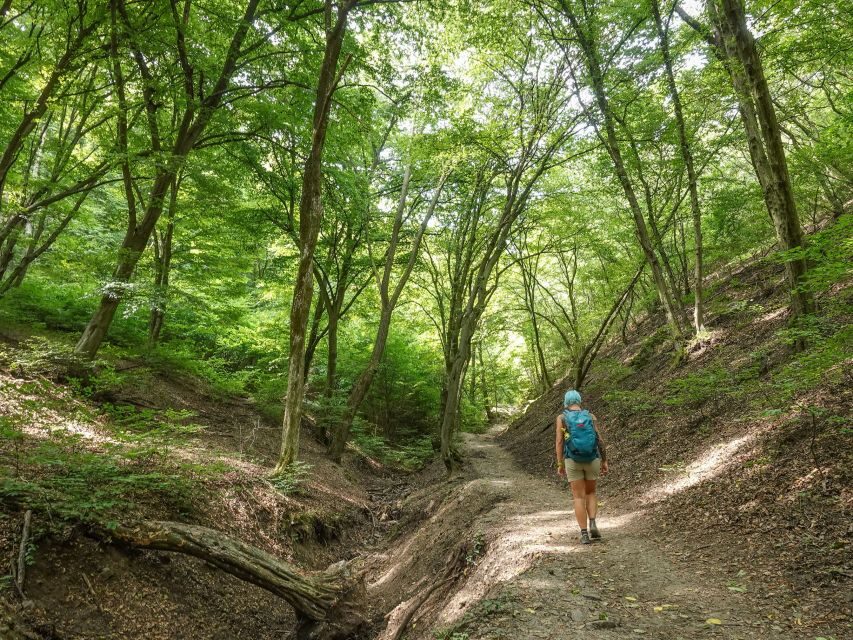 Danube Bend Hiking and Kayaking Adventure - Key highlights worth getting up for