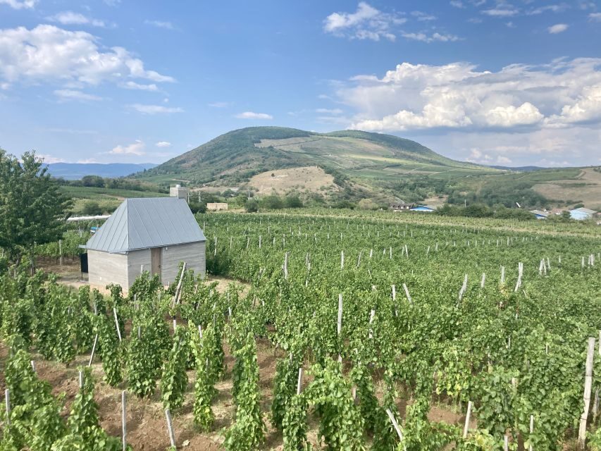 Eger: Countryside, Culture, and Wine Private Tour - Key highlights