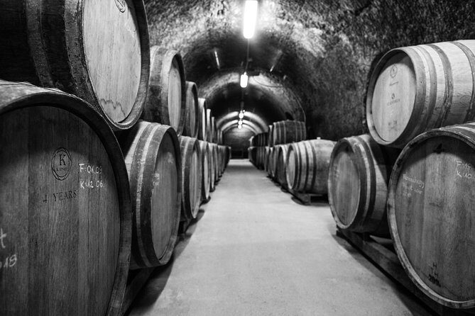 Eger Private Full-Day Wine Tasting Tour and Sightseeing from Budapest - Who should book this Eger wine day from Budapest?