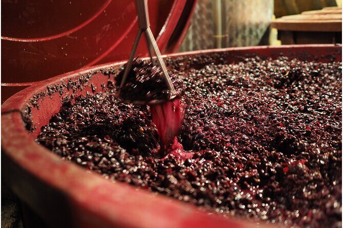 Etyek Private Half-Day Wine Tasting Tour from Budapest - Stop One in Etyek: meeting the family winery and tasting with real context