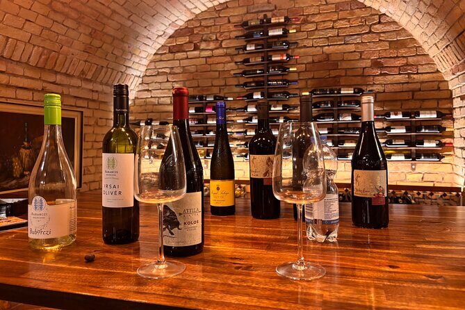 Exclusive Hungarian Wine and Gastronomy Experience Luxury Package - Who this is best for (and who might want to pass)