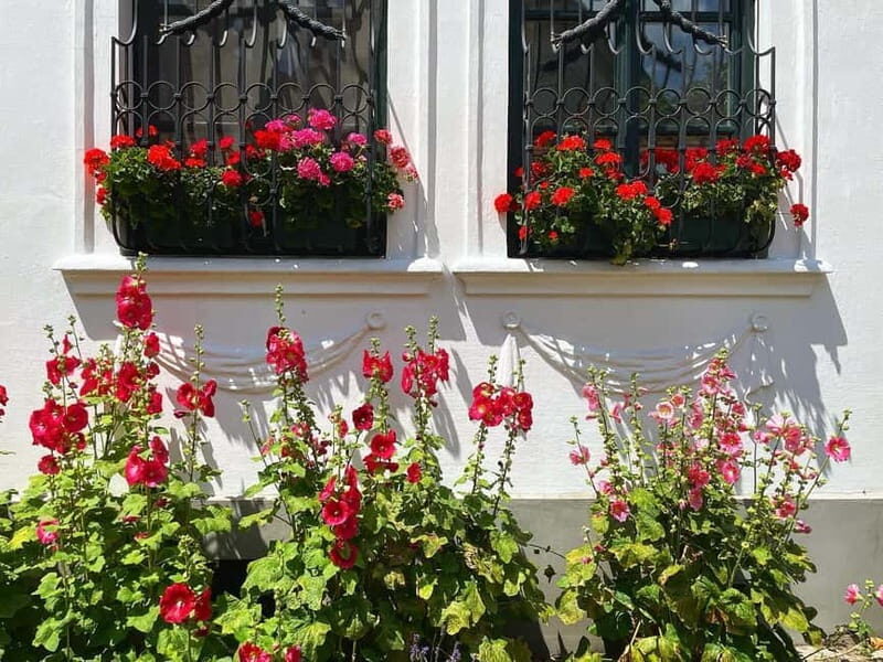 From Budapest: Szentendre Art and History with StreetFood - What Kind of Traveler Should Book This?