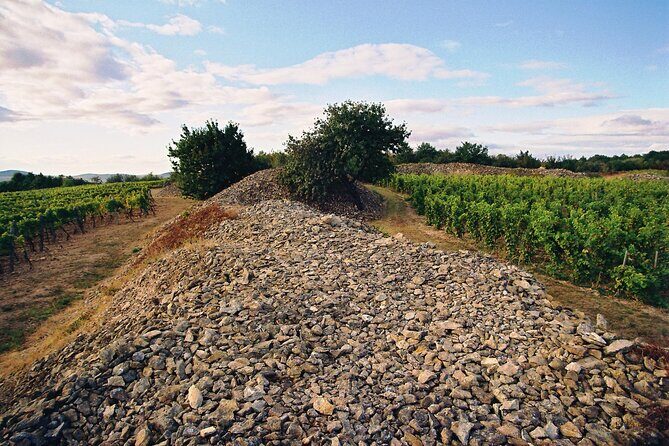 Full-Day Custom Tokaj Wine Tour - Key things to know before you go