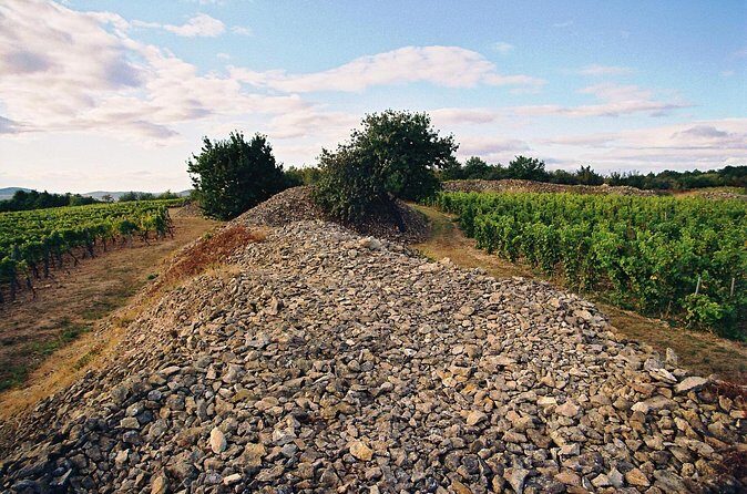 Full-Day Custom Tokaj Wine Tour - Stop 2: Barta Pince and the heritage-building approach to tradition