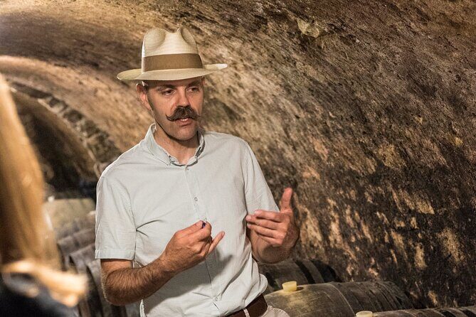 Full-Day Custom Tokaj Wine Tour - Who this tour suits best (and who should think twice)