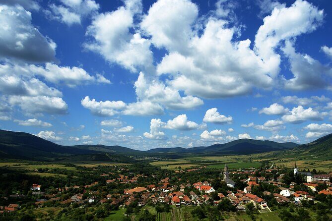 Full-Day Custom Tokaj Wine Tour - Stop 1: Gróf Degenfeld Szőlőbirtok and the Tokaj cellar story