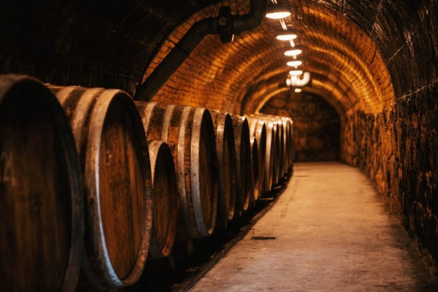 Guided wine tasting at Rókusfalvy Estate - Cellar Tour Time: Barrels and a Champagne Cellar You Can Actually See