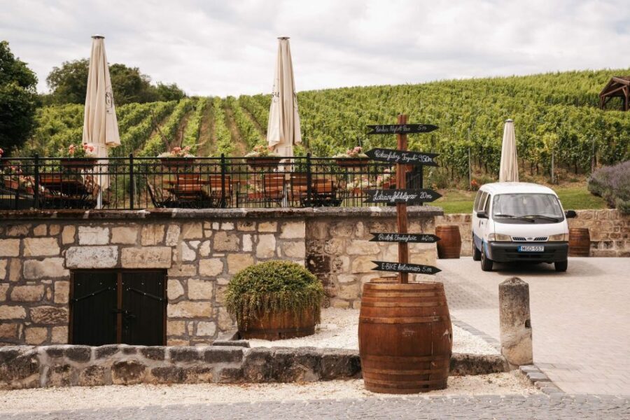 Guided wine tasting at Rókusfalvy Estate - The Short Walk Among the Vines: The Part You’ll Remember