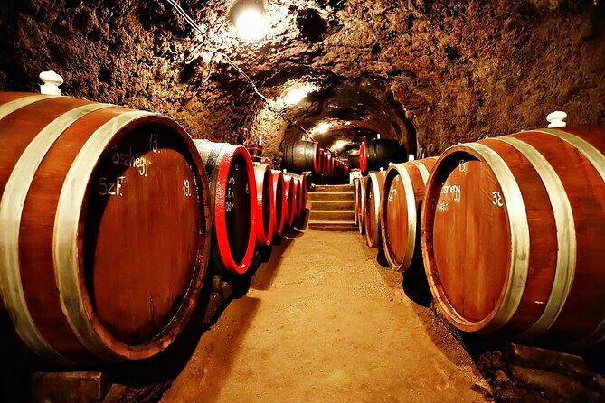 Half Day Tokaj Wine Tasting Tour in Mád Hungary with lunch - Stop 3: Király dűlő tető Vineyard Tour Between the Grapes