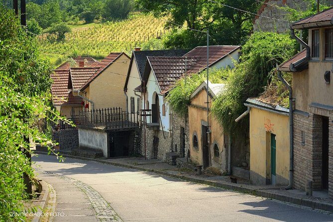 Home to Bull's Blood red wine! Eger with winetaste private tour - Torok Kori Minaret: a quick 43-meter climb for Ottoman-era context