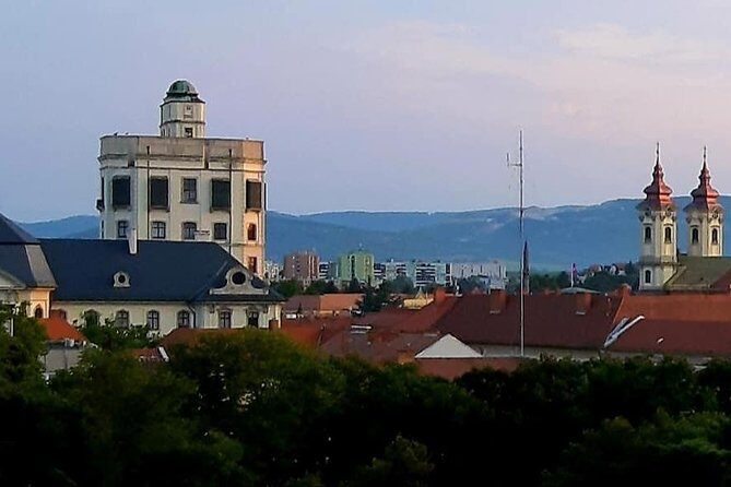 Home to Bull's Blood red wine! Eger with winetaste private tour - Minorita Templom and the Basilica: baroque and classical beauty in small windows