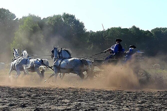 Horseshow on the Hungarian Puszta, private tour from Budapest with entry! - Carriage ride and stables time: seeing the working side of the horses