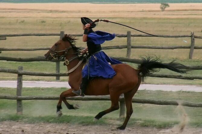 Horseshow on the Hungarian Puszta, private tour from Budapest with entry! - The Hungarian Puszta horseshow: big skills, classic entertainment