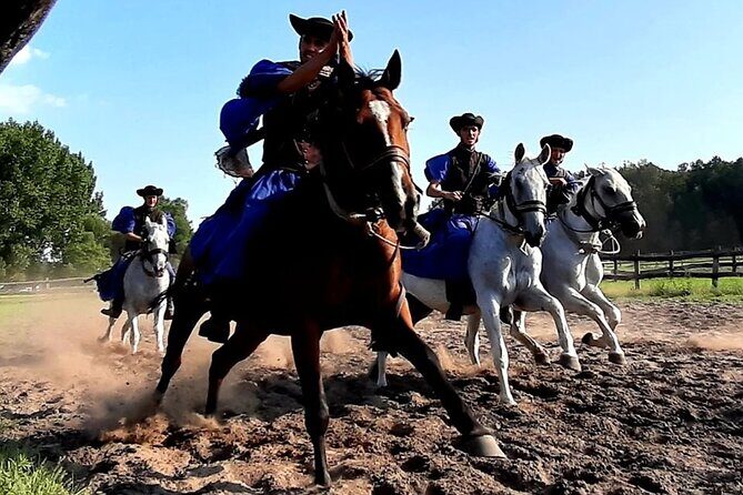 Horseshow on the Hungarian Puszta, private tour from Budapest with entry! - Who should book this (and who might not love it)