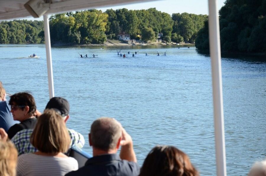 Hungary: Full-Day Private Danube Bend Tour - Transportation, group size, and guide languages that shape the experience