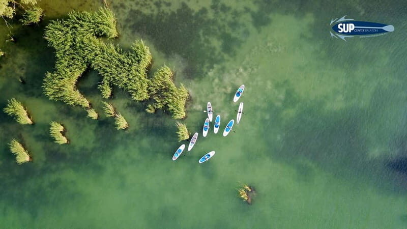 Lake Balaton 3 hour SUP tour - self-guided - Your 3-Hour Paddle Plan: Slow Water, Reeds, and Wildlife Moments