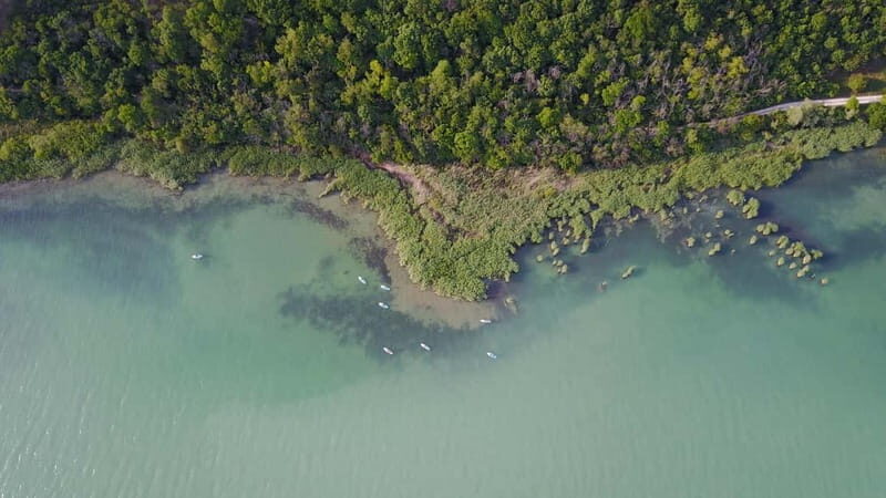 Lake Balaton 3 hour SUP tour - self-guided - Optional Swim Break: When It’s Warm Enough, Take Advantage