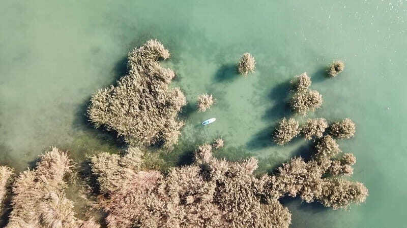 Lake Balaton 3 hour SUP tour - self-guided - Best Fit: Who Will Enjoy This SUP Tour Most