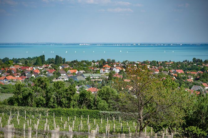 Lake Balaton Full Day Private Wine Tour - Tihany Peninsula and Tihany Echo: abbey views and village time