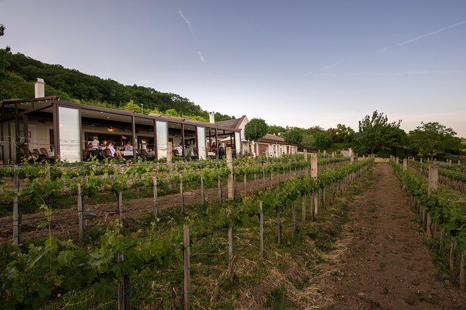 Lake Balaton Full Day Private Wine Tour - North Shore tastings: 1–2 wineries and up to 11–12 wines