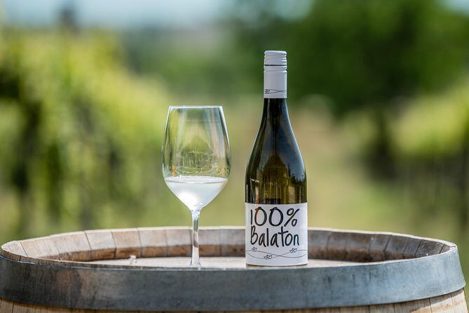 Lake Balaton Full Day Private Wine Tour - Price and logistics: what $1,919.88 per group really buys you