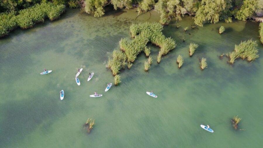 Lake Balaton: Paddle Board Tour of Tihany National Park - Check-In to Board Time: What You Get and How the Guide Sets You Up
