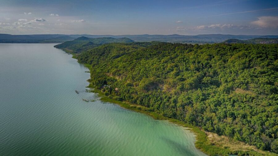 Lake Balaton: Paddle Board Tour of Tihany National Park - What You Pay (and What Makes It Good Value)
