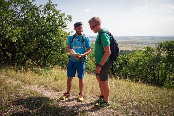 Panoramic hike around Budapest - Forest trails around Budapest: what makes the route worth following