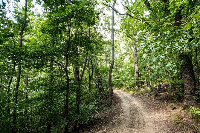 Panoramic hike around Budapest - Elizabeth Lookout: the main panorama stop