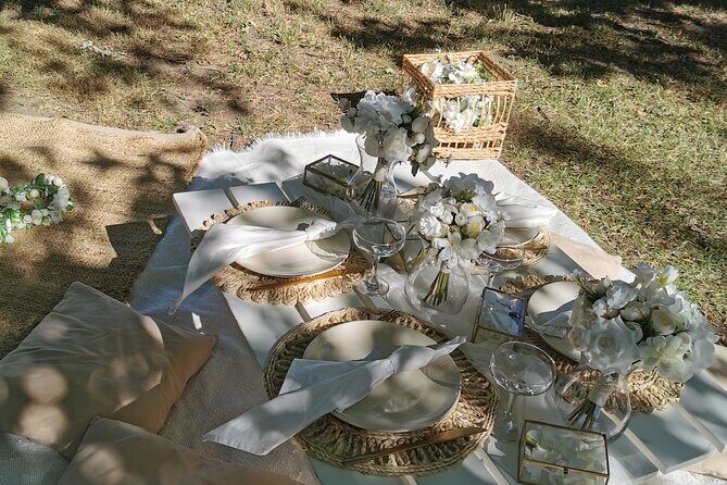 Picnics experience in Hungary - The 3-hour rhythm: games, music, and Polaroid keepsakes